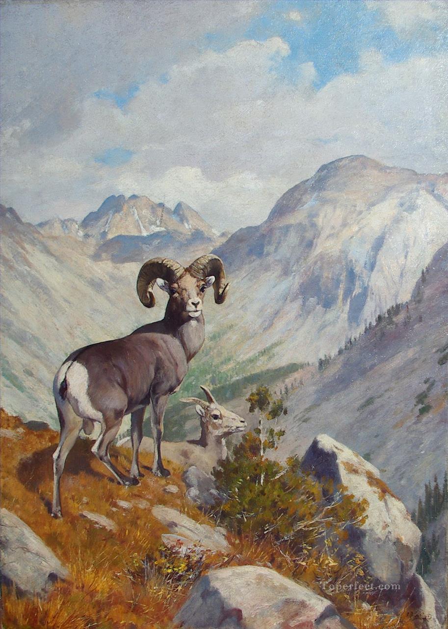 Rungius bighorn und Berg Ziege Ölgemälde